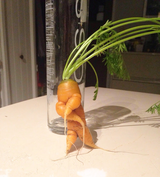A Carrot Bustin A Move