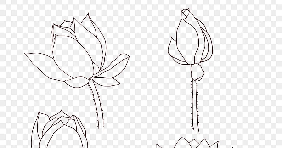 Paling Bagus 26+ Foto Lukisan Bunga Simple Gambar Bunga Indah jpg (1200x630)