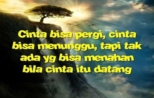 Inspirasi 47+ Download Video Kata Bijak Islami, Kata Bijak