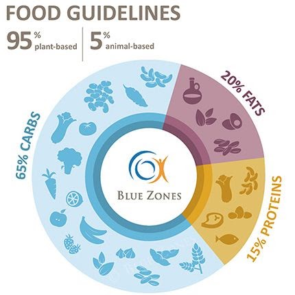 zones plan bluezones longevity