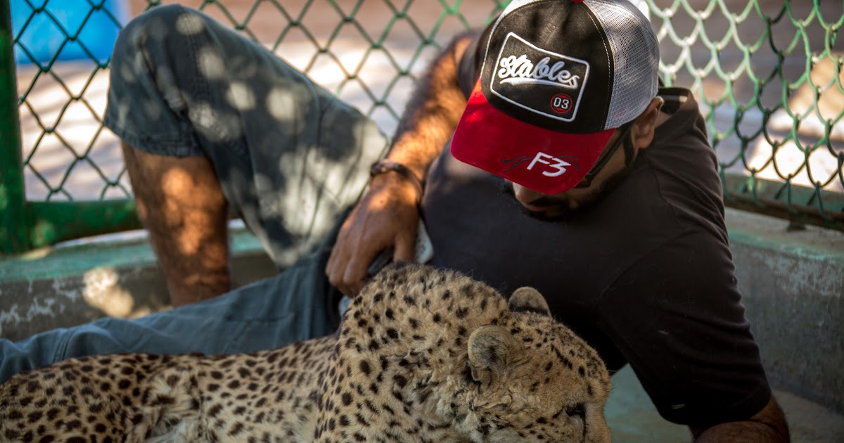 all about rare animals | unique animals and more....: Zoos Helping