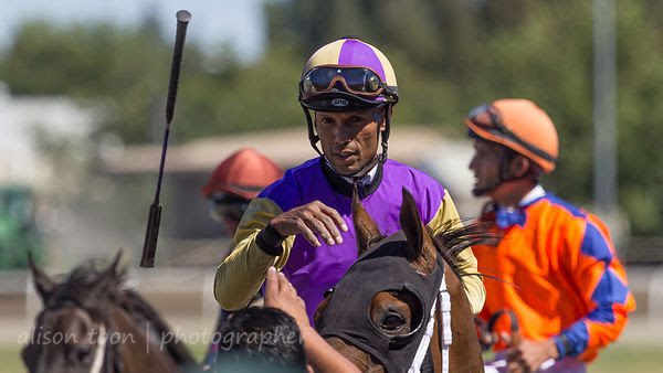 Race six, Sacramento card at the California State Fair