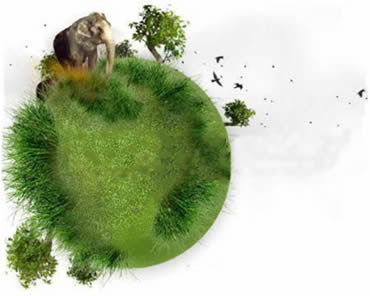 Estratégias de Ensino: Biologia Biologia, uma ciência que busca respostas e interpretações aos eventos da natureza.