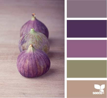 http://www.pinterest.com/pin/58828338857226935/ fig tones