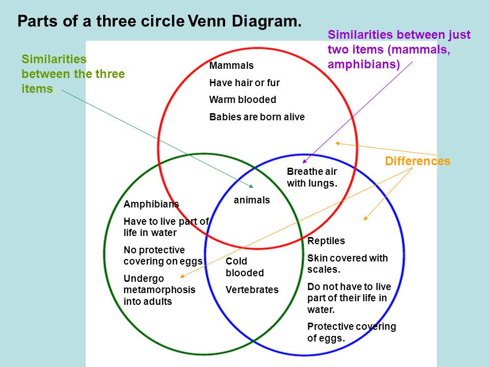 What Are The Various Parts Of The Venn Diagram - General Wiring Diagram