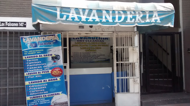 Lavandería Al Seco Y Peso - Lavandería