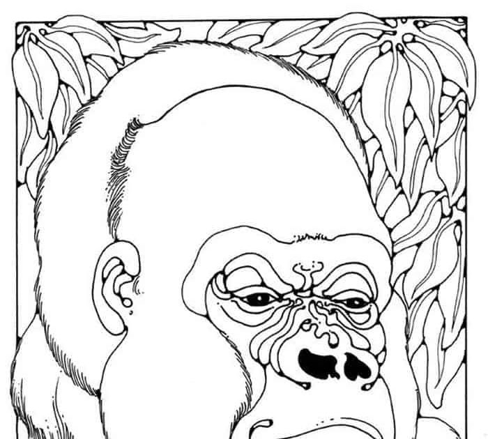 51+ Free Printable gorillas coloring pages - ElyceIgnacia