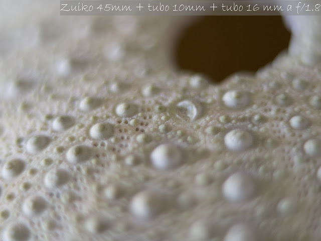 7356724736_1f879a8804_z.jpg