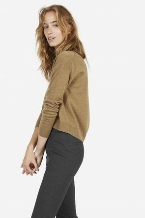 Everlane Cropped Cashmere Sweater