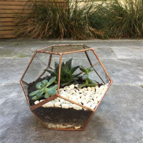 Best 25 Glass display box ideas on Pinterest Black and Best 25 Glass display box ideas on Pinterest Black and