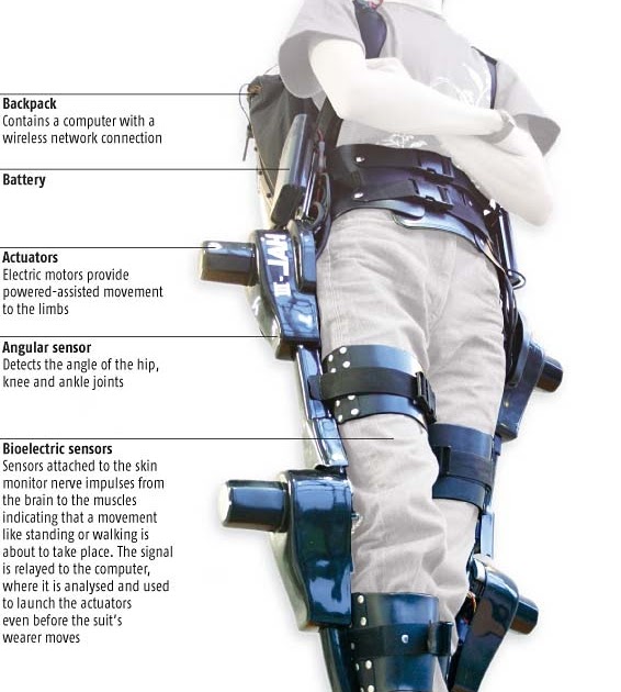 Устройство экзоскелета чертежи