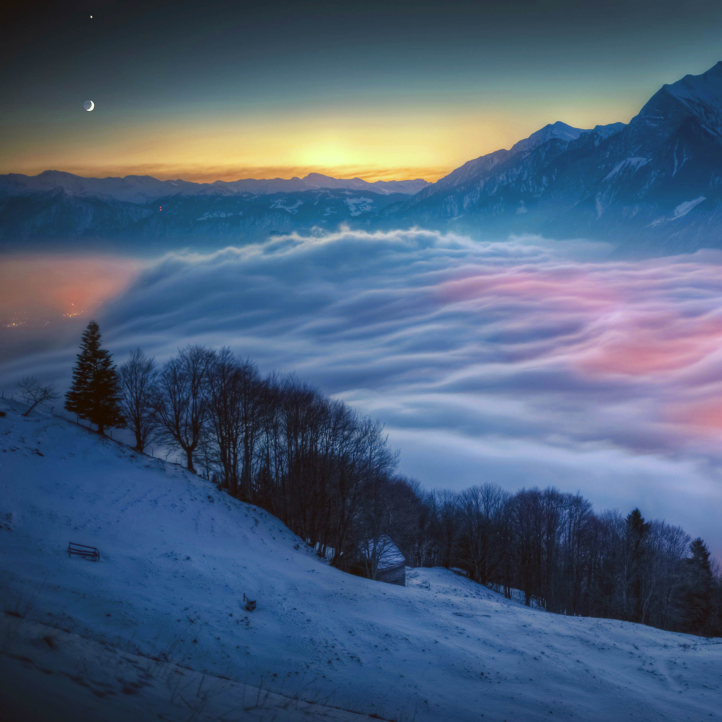 すべての花の画像 ベスト50 Ipad 壁紙 雪山