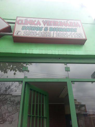 Avaliações sobre Clinica Veterinária Bichos e Bichanos em São Paulo - Veterinário