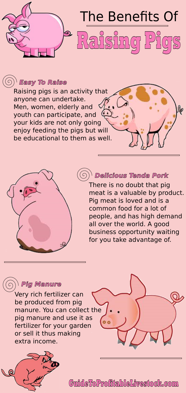 how-to-start-pig-farming-piggery-farming-for-beginners