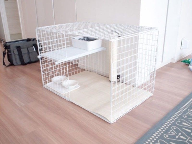 200以上 作り方 犬 トイレ 手作り 100 均 557332作り方 犬 トイレ 手作り 100 均