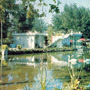 click for band site | ducktails