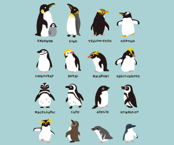 おしゃれ かっこいい ペンギン イラスト の最高のコレクション アニメ画像