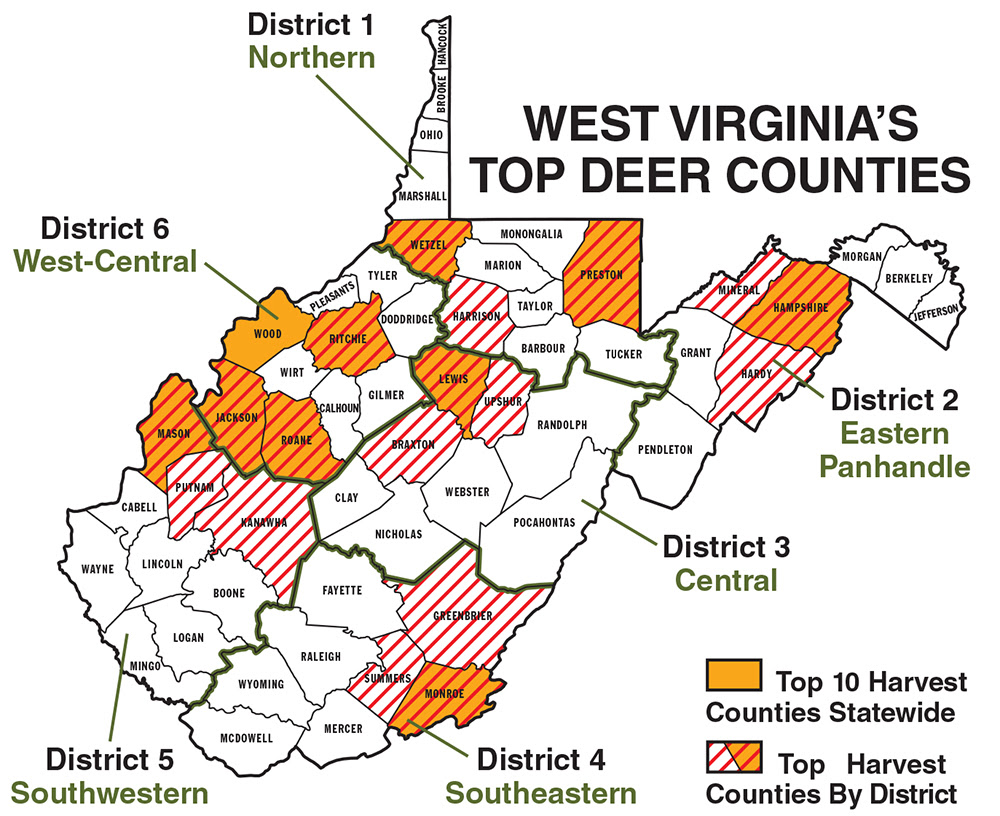 FUN IN THE MOUNTAIN STATE WV top deer producing areas