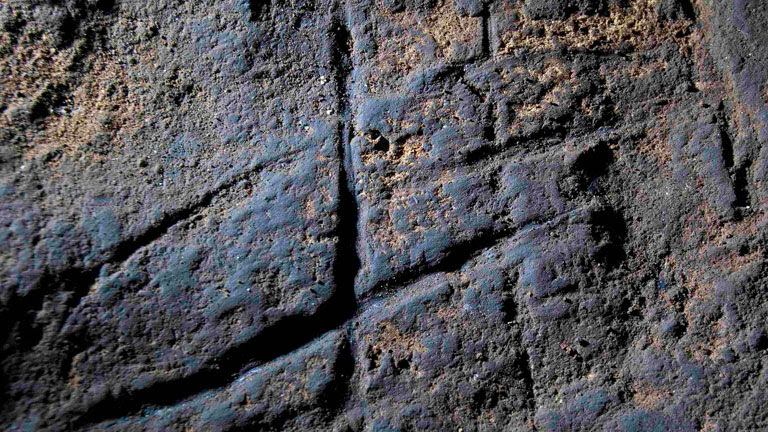 Imagen sobre el grabado de los neandertales cedida por el Museo de Gibraltar