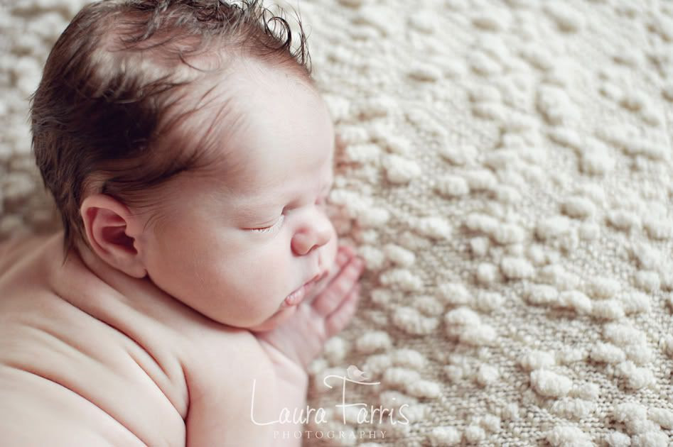newborn photography Idaho
