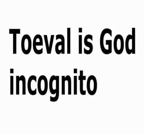 toeval is goed incognito 490x455 ‘Synchroniciteit – Hoe werkt dat?’