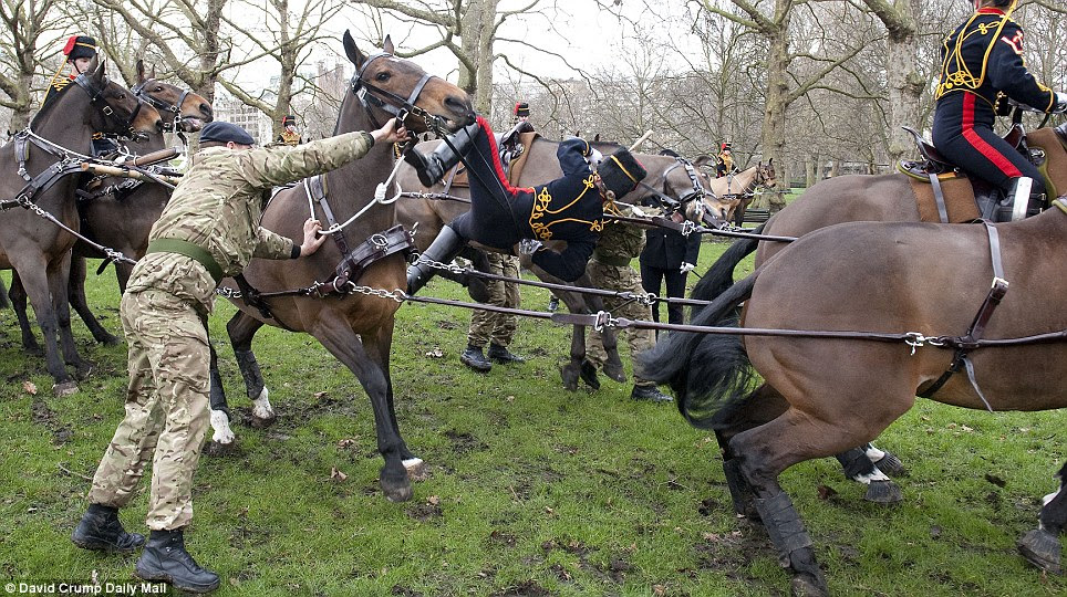 The rider desperately tries to cling onto the thrashing horse but cannot stay mounted