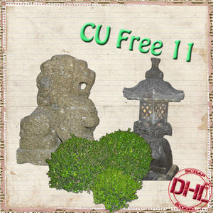 Dhl_CUfree11