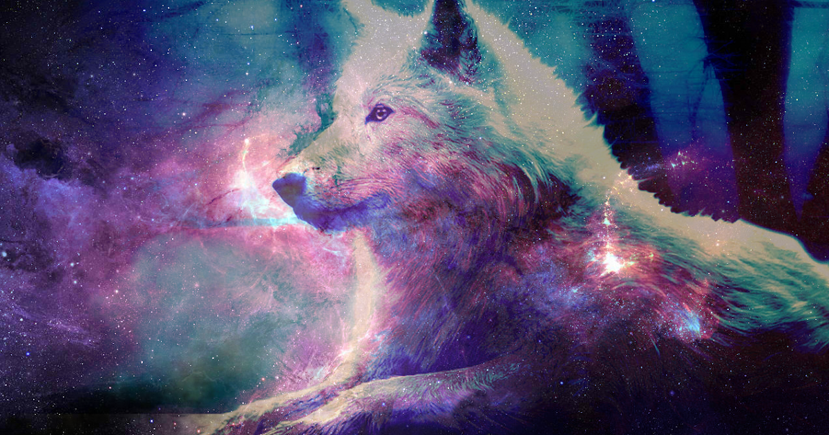 Featured image of post The Best 23 Galaxy Anime Alpha Mystical Wolf