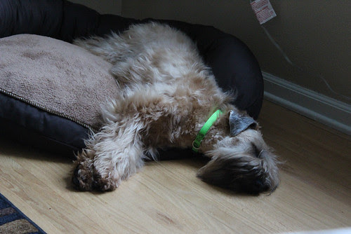 sleeping