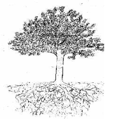 Contoh Gambar Pohon Psikotes Yang Benar