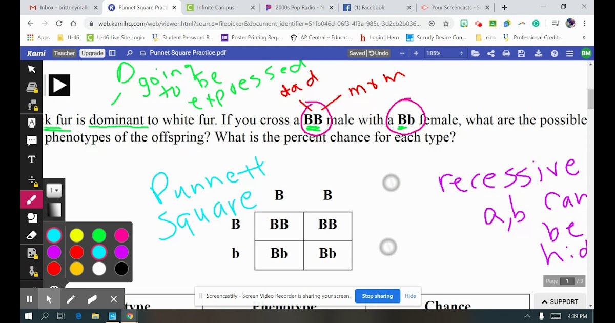 Punnett Square Practice #3 Spongebob Squarepants / Punnett Square