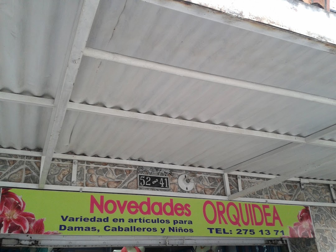 novedades orquídea