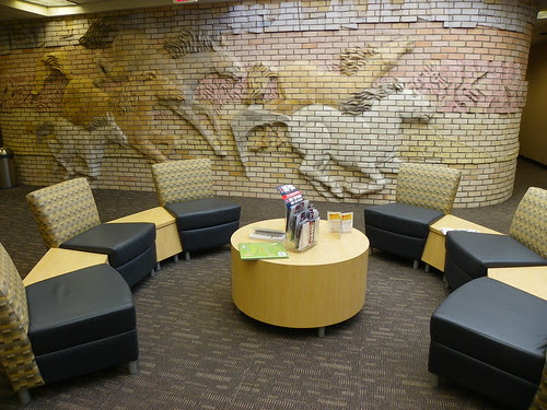 Mustangs racing across the library wall - Mustang Library, Arizona