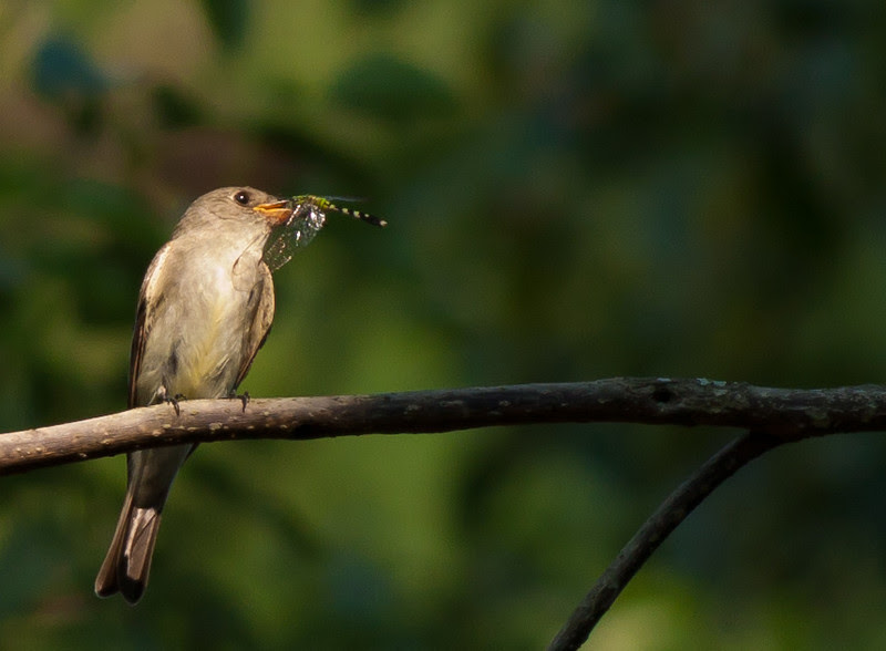 Photo & Video Sharing by SmugMug Photo & Video Sharing by SmugMug