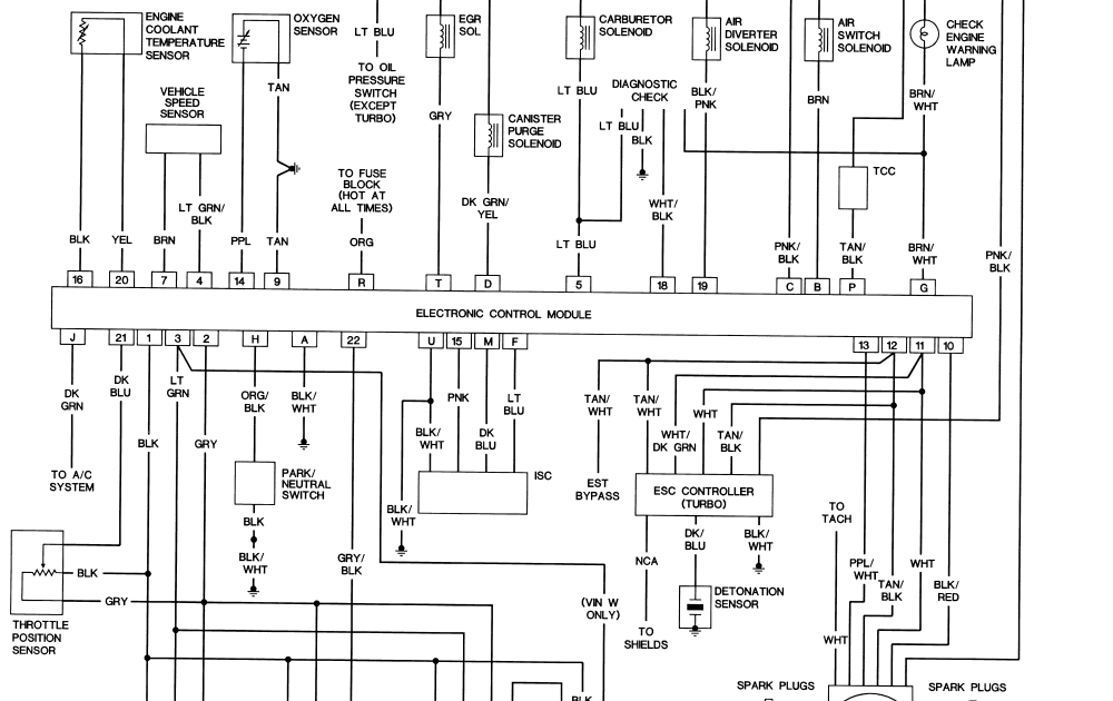 1979 Tran Am Wiring Diagram