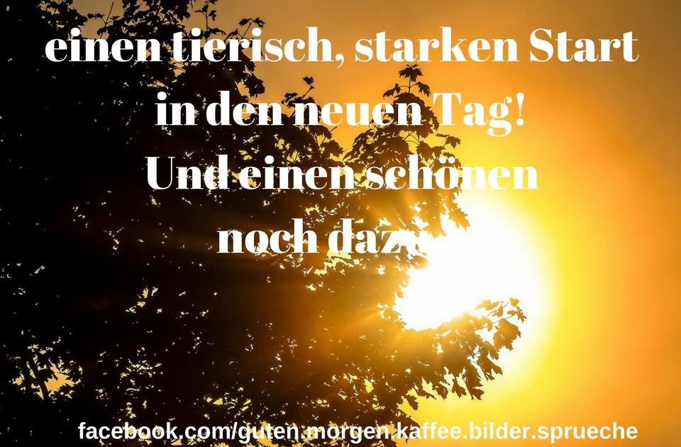 Guten Sonnenschein Sprüche DE Sprueche