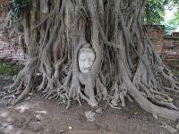 Free Image Hosting at www.ImageShack.us