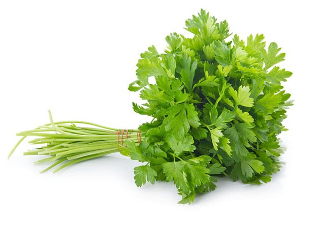 Resultado de imagem para Salsa limão cebola fotos
