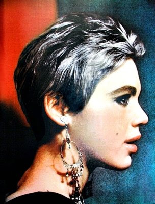 Edie Sedgwick, Style Icon