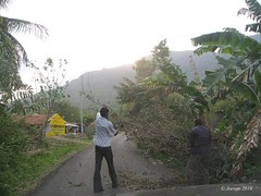 strong wind