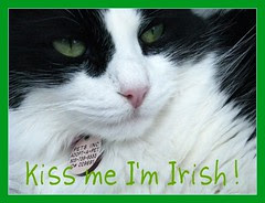 Kiss me I'm Irish