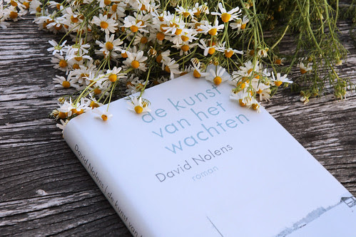 book review blog
