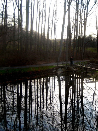 trees and water, Brookside Gardens