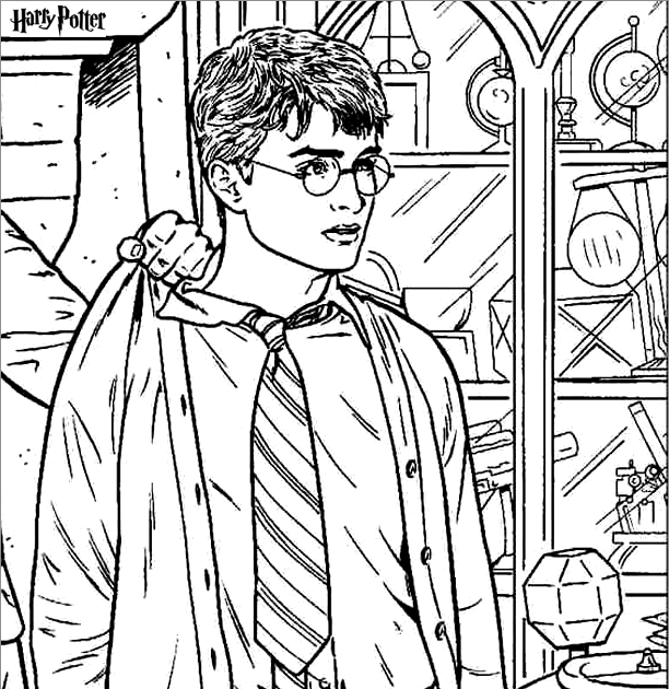 Harry Potter Goblet Of Fire Coloring Pages / Two-In-One Review: Harry