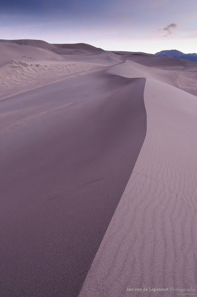 The purple dune The purple dune
