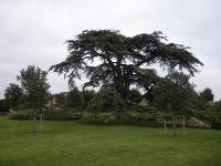Free Image Hosting at www.ImageShack.us