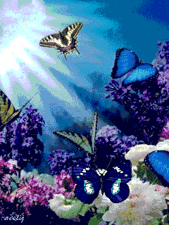 Мир  бабочек
