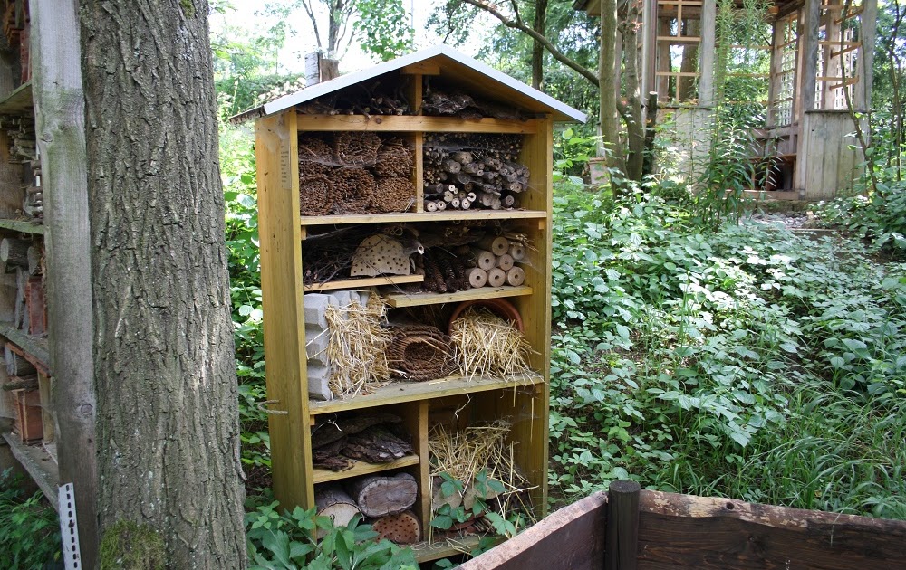 26+ Best Bilder Standort Insektenhotel Garten