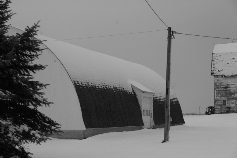 tell-a-15-x-20-shed-plans-veronic-blog