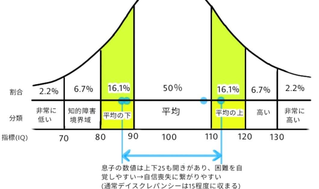 Wisc 言語理解 高い 処理速度 低い cesybedh